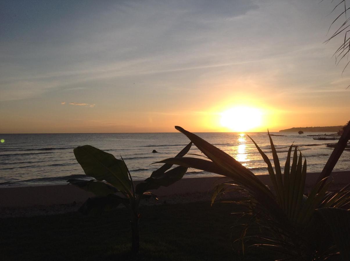 Bamboobeachvilla1 Ac New Oceanfront Pool Sunsetview Garden Kitchen Satellite Starlink Wi-Fi Dimiao Exteriér fotografie
